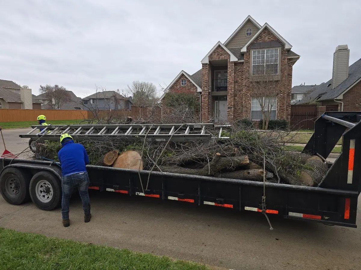 Expert Lot Clearing with proper safety equipment in Basehor